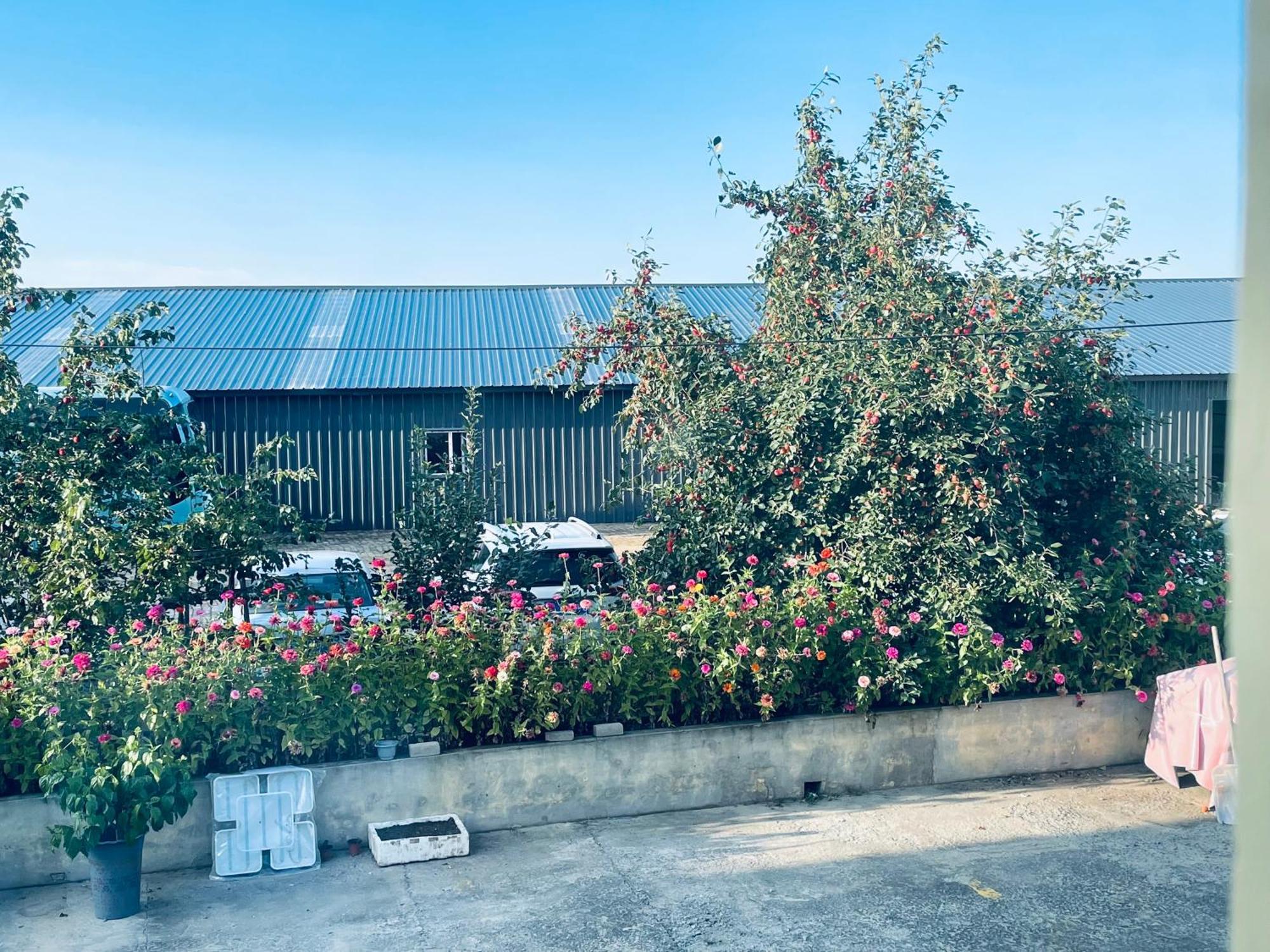 哈尔滨机场东方红运宾馆 Hotell Exteriör bild